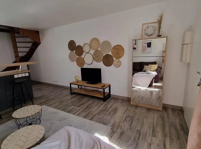 Duplex 40M2 Cocooning Coeur De Ville Avec Parking