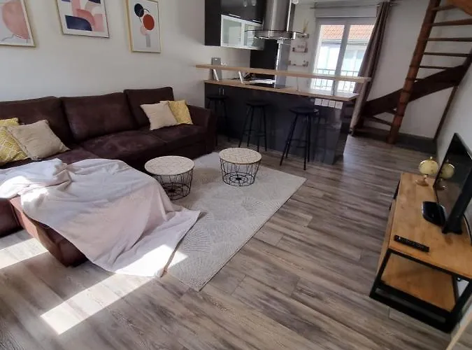 Duplex 40M2 Cocooning Coeur De Ville Avec Parking